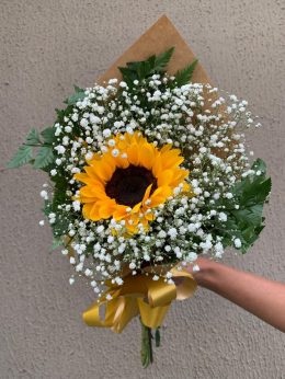 625298ba-da16-467b-a45c-77e95d066aa1