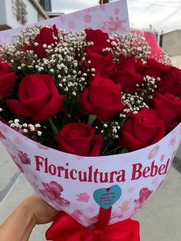 WhatsApp Image 2025-11-08 at 09.20.57