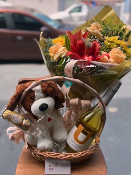 WhatsApp Image 2025-11-08 at 09.29.00 WhatsApp Image 2025-11-08 at 09.29.00