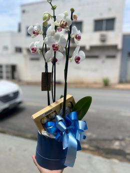 WhatsApp Image 2025-11-08 at 10.18.08