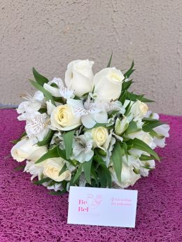 WhatsApp Image 2025-11-10 at 09.58.22